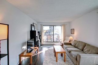 Photo 16: 402 1011 12 Avenue SW in Calgary: Beltline Apartment for sale : MLS®# A2006542