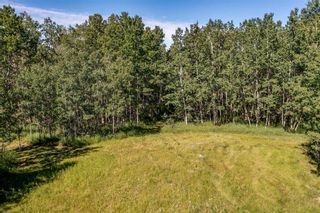Photo 10: 25255 Bearspaw Place in Rural Rocky View County: Rural Rocky View MD Residential Land for sale : MLS®# A2074509