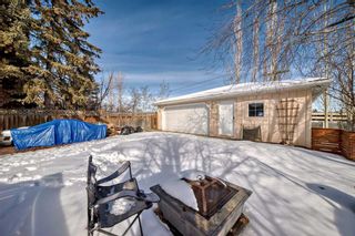 Photo 24: 440 Cantrell Drive SW in Calgary: Canyon Meadows Detached for sale : MLS®# A2113412