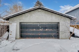 Photo 8: 430 21 Avenue NE in Calgary: Winston Heights/Mountview Detached for sale : MLS®# A2029661
