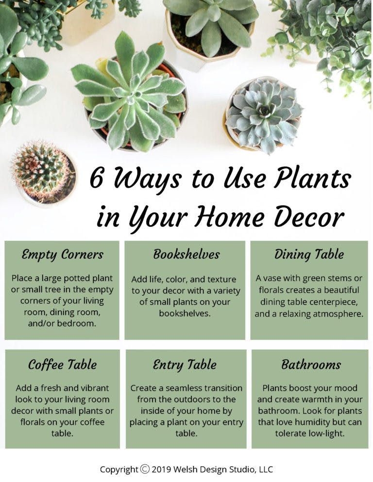 Decorating With Plants 