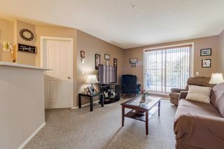 Photo 15: 8125 304 Mackenzie Way SW: Airdrie Apartment for sale : MLS®# A1188066