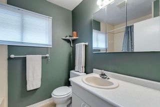 Photo 12: 4015 4 Avenue SW in Calgary: Wildwood Detached for sale : MLS®# A2052094