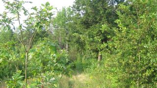 Photo 9: Dawson Road in Ellershouse: Hants County Vacant Land for sale (Annapolis Valley)  : MLS®# 202317663
