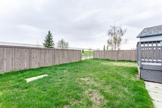 Photo 32: 172 Stonegate Crescent NW: Airdrie Detached for sale : MLS®# A1219020