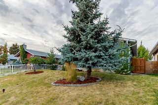 Photo 4: 28 Van Horne Crescent NE in Calgary: Vista Heights Detached for sale : MLS®# A2001978