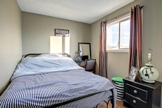 Photo 12: 3727 44 Avenue NE in Calgary: Whitehorn Detached for sale : MLS®# A1172903