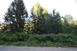 Photo 6: Lots 14-16 SECOND AVENUE in Ymir: Vacant Land for sale : MLS®# 2472383