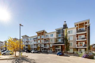 Photo 41: 3103 302 Skyview Ranch Drive NE in Calgary: Skyview Ranch Apartment for sale : MLS®# A2006897