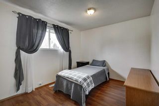 Photo 14: 150 Dovercliffe Close SE in Calgary: Dover Detached for sale : MLS®# A2130723