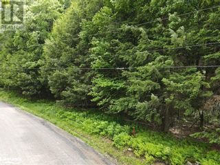 Photo 5: 0 SAM ENGLISH Road in Huntsville: Vacant Land for sale : MLS®# 40391008