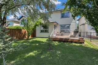 Photo 39: 20 Cranwell Crescent SE in Calgary: Cranston Detached for sale : MLS®# A2061824