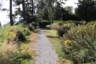 Photo 61: 7212 Austins Pl in Sooke: Sk Whiffin Spit House for sale : MLS®# 851445