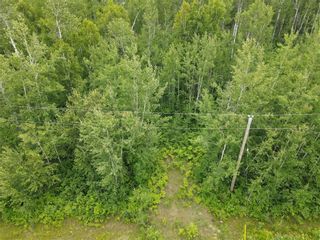 Photo 10: 4 Whitetail Lane in Sprague: Vacant Land for sale : MLS®# 202319300
