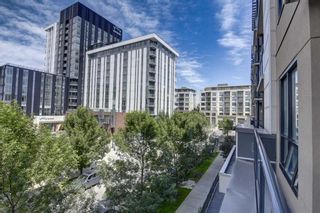 Photo 22: 315 955 Mcpherson Road NE in Calgary: Bridgeland/Riverside Apartment for sale : MLS®# A1240556