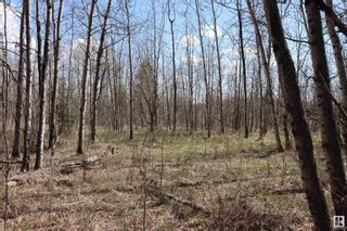 Photo 2: 7 Northbrook Estates: Rural Thorhild County Rural Land/Vacant Lot for sale : MLS®# E4295430