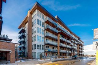 Main Photo: 606 11 Mahogany Circle SE in Calgary: Mahogany Apartment for sale : MLS®# A2118651