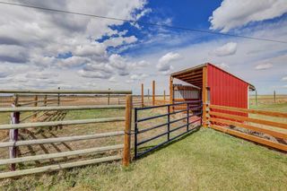 Photo 37: 223002 Range Road 260: Rural Wheatland County Detached for sale : MLS®# A2127775