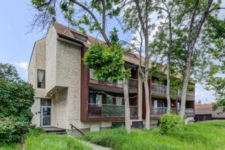 Main Photo: 402 1113 37 Street SW in Calgary: Rosscarrock Apartment for sale : MLS®# A1233806