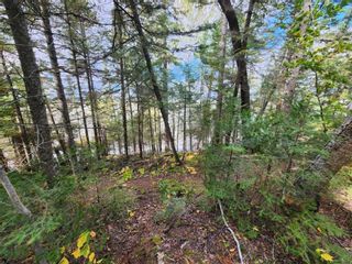 Photo 5: 28 Pelican Inlet Road in Manigotagan: Vacant Land for sale : MLS®# 202403507