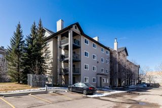 Main Photo: 3206 4975 130 Avenue SE in Calgary: McKenzie Towne Apartment for sale : MLS®# A2103386