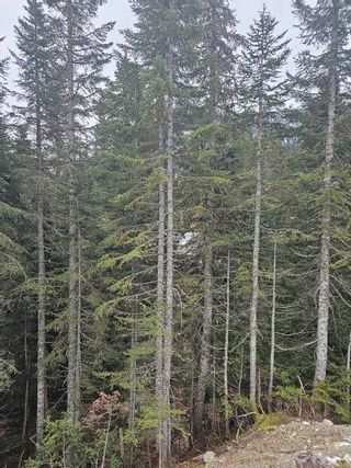 Photo 14: 20908 SNOWFLAKE Place in Agassiz: Hemlock Land for sale (Mission)  : MLS®# R2835217
