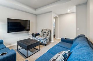 Photo 27: 236 Red Sky Terrace NE in Calgary: Redstone Detached for sale : MLS®# A2125780