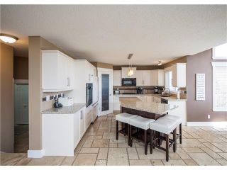 Photo 10: 34 CHAPALA Court SE in Calgary: Chaparral House for sale : MLS®# C4108128