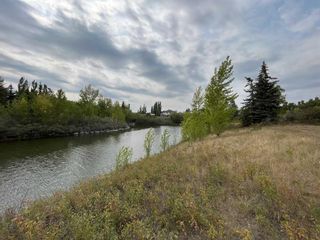 Photo 44: 54 Inverness Square SE in Calgary: McKenzie Towne Row/Townhouse for sale : MLS®# A2075047