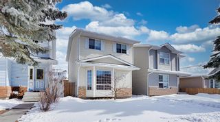 Photo 43: 138 Martindale Drive NE in Calgary: Martindale Detached for sale : MLS®# A2035787