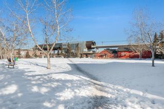 Photo 22: 5 1633 11 Avenue SW in Calgary: Sunalta Apartment for sale : MLS®# A2031543