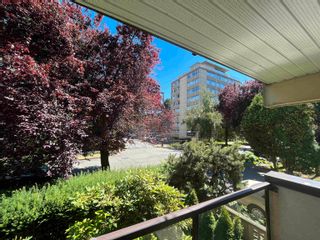 Photo 10: 208 1718 NELSON Street in Vancouver: West End VW Condo for sale in "REGENCY TERRACE" (Vancouver West)  : MLS®# R2709107