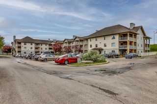 Photo 19: 205 3000 Citadel Meadow Point NW in Calgary: Citadel Apartment for sale : MLS®# A1240957