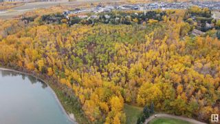 Photo 6: 17103 23 Avenue in Edmonton: Zone 56 Vacant Lot/Land for sale : MLS®# E4335406
