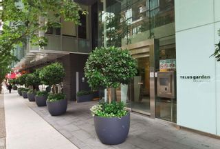 Photo 4: 3707 777 RICHARDS Street in Vancouver: Downtown VW Condo for sale (Vancouver West)  : MLS®# R2758116