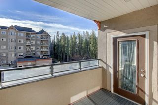 Photo 23: 227 30 Discovery Ridge Close SW in Calgary: Discovery Ridge Apartment for sale : MLS®# A1156798