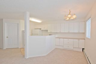 Photo 6: 213 56 Carroll Crescent: Red Deer Apartment for sale : MLS®# A1198481