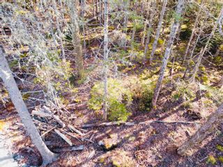 Photo 1: Lot 05-2G NO 329 Highway in Fox Point: 405-Lunenburg County Vacant Land for sale (South Shore)  : MLS®# 202129825