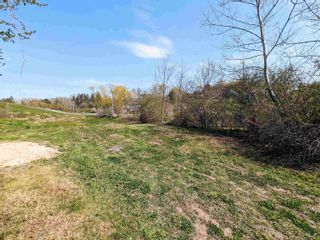 Photo 16: Block 103 New Town Road in Avondale: Hants County Vacant Land for sale (Annapolis Valley)  : MLS®# 202309095