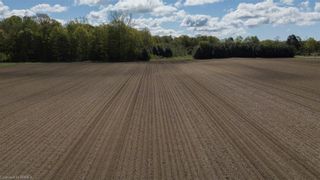 Photo 17: 710 North Road: Langton Agriculture for sale (North Walsingham)  : MLS®# 40386129