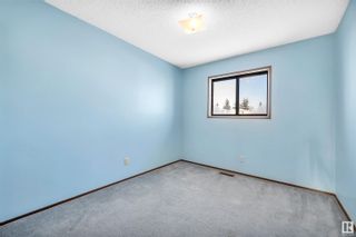 Photo 16: 4911 13 Avenue in Edmonton: Zone 29 House for sale : MLS®# E4369937