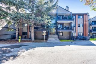 Photo 23: 3312 13045 6 Street SW in Calgary: Canyon Meadows Apartment for sale : MLS®# A2049102