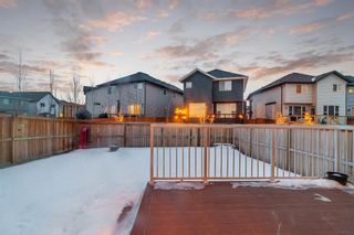 Photo 31: 432 Chaparral Valley Way SE in Calgary: Chaparral Detached for sale : MLS®# A1082002