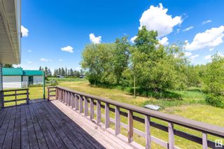 Photo 29: 470046 Rge Rd 233: Rural Wetaskiwin County House for sale : MLS®# E4299196