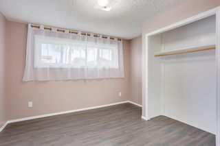 Photo 17: 85 BIG SPRINGS Drive SE: Airdrie Detached for sale : MLS®# A1037213