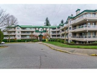 Photo 18: 329 2750 FAIRLANE Street in Abbotsford: Central Abbotsford Condo for sale in "THE FAIRLANE" : MLS®# F1428068