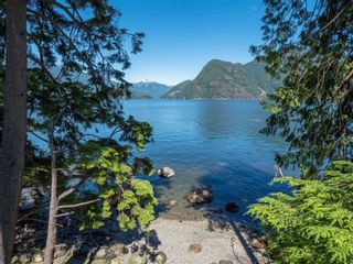 Photo 15: 107 WITHERBY Road in Gibsons: Gibsons & Area House for sale (Sunshine Coast)  : MLS®# R2844366
