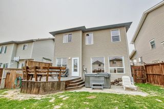 Photo 39: 449 Evanston View NW in Calgary: Evanston Detached for sale : MLS®# A2049902