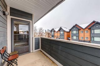 Photo 26: 301 1817 14A Street SW in Calgary: Bankview Apartment for sale : MLS®# A2125870