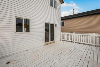 Photo 33: 81 Martinvalley Place NE in Calgary: Martindale Detached for sale : MLS®# A2132476
